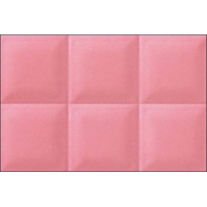 Gạch ốp tường Trường Thịnh WALL TILES EA4380